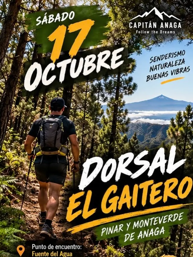 Dorsal · El Gaitero
