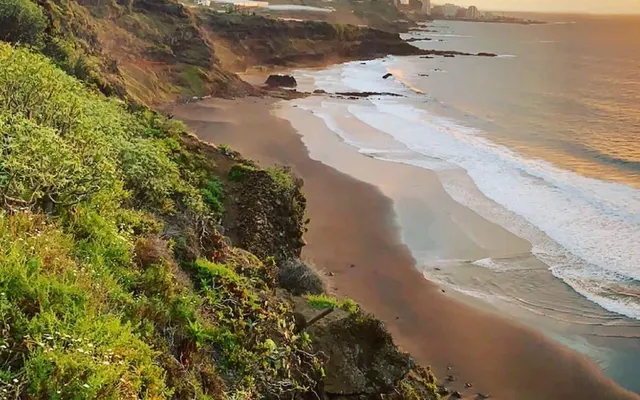 Playa de los Patos
