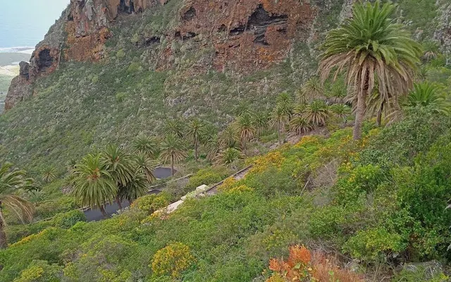 Tierra del Trigo